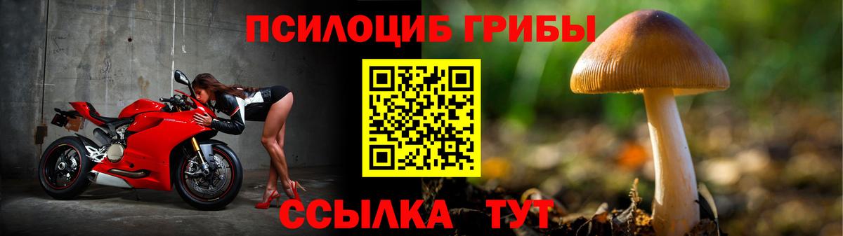 Галлюциногенные грибы Cubensis Учалы